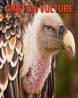 Book cover for Griffon Vulture