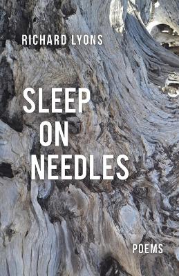 Book cover for Sleep on Needles