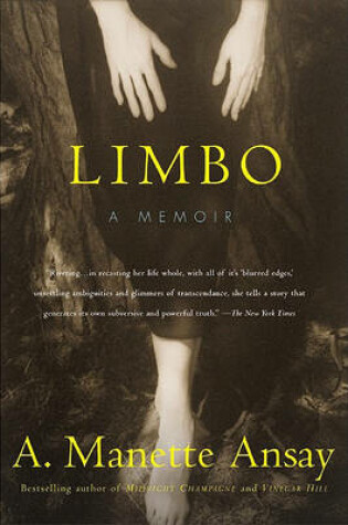 Cover of Limbo