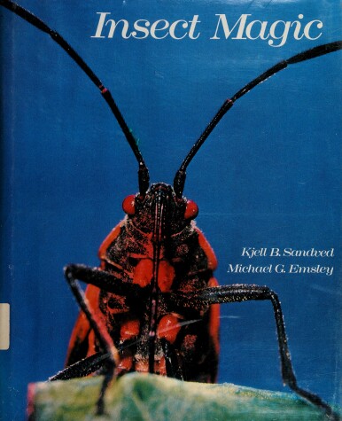 Cover of Insect Magic