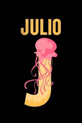 Book cover for Julio