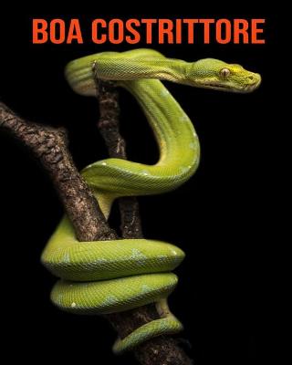 Book cover for Boa costrittore