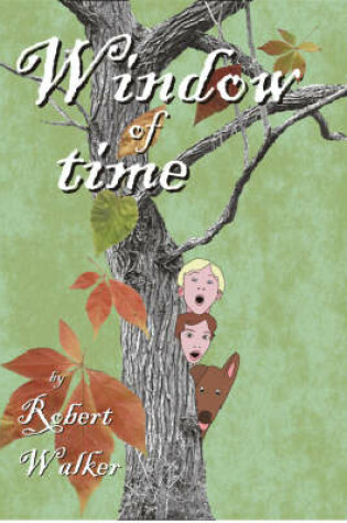 Cover of Window of Time