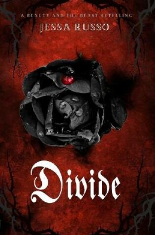 Cover of Divide