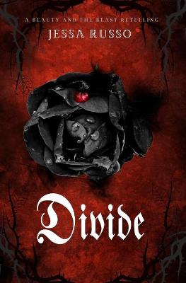 Book cover for Divide