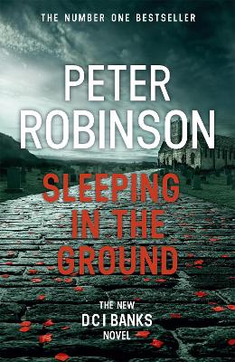 Book cover for Sleeping in the Ground