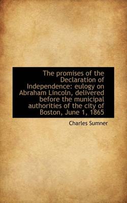 Book cover for The Promises of the Declaration of Independence