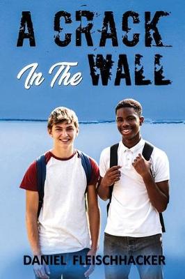 Book cover for A Crack In The Wall