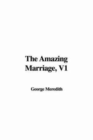 Cover of The Amazing Marriage, V1