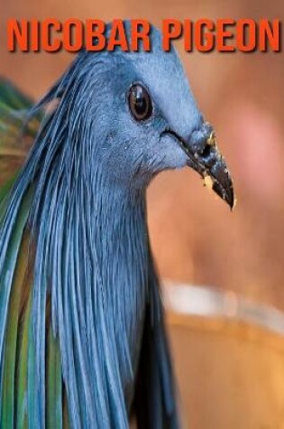 Cover of Nicobar Pigeon