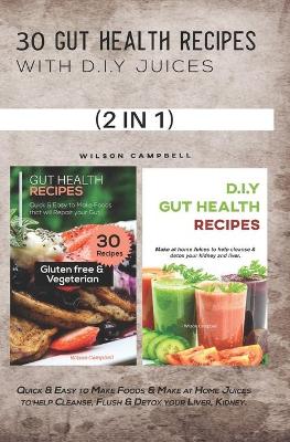 Book cover for 30 Gut Health Recipes with D.I.Y Juices