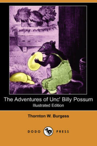 Cover of The Adventures of Unc' Billy Possum(Dodo Press)