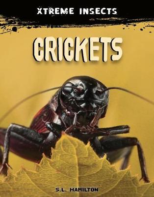 Book cover for Crickets