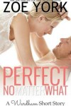 Book cover for Perfect No Matter What