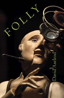 Book cover for Folly