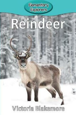 Cover of Reindeer