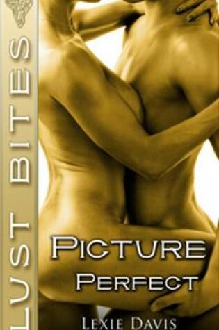 Cover of Picture Perfect