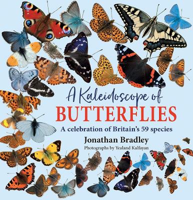 Book cover for A Kaleidoscope of Butterflies