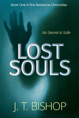 Book cover for Lost Souls