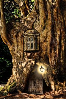 Book cover for Fantasy Fairytale Miniature House in a Tree Journal