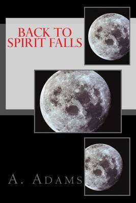 Book cover for Back to Spirit Falls