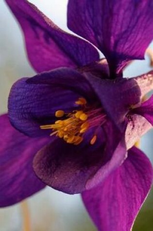 Cover of Deep Purple Columbine Flower Journal