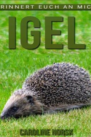 Cover of Igel