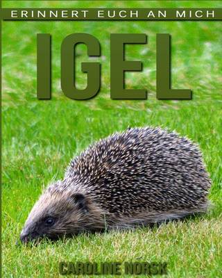 Book cover for Igel