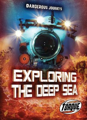 Book cover for Exploring the Deep Sea