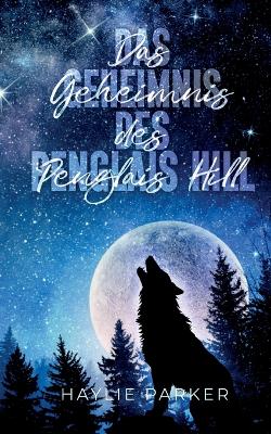 Book cover for Das Geheimnis des Penglais Hill