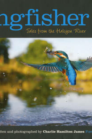 Cover of Kingfisher