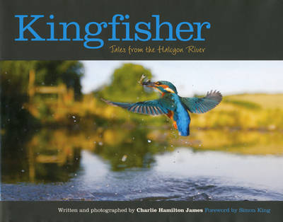 Book cover for Kingfisher