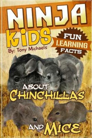 Cover of Fun Learning Facts about Chinchillas and Mice