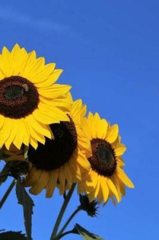 Cover of Notebook Stunning Sunflowers in Bloom