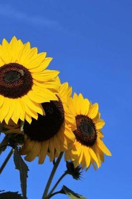 Book cover for Notebook Stunning Sunflowers in Bloom