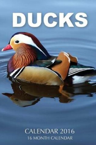 Cover of Ducks Calendar 2016