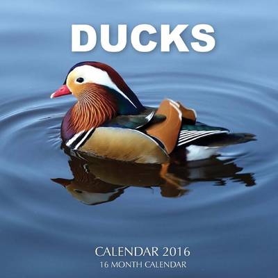 Book cover for Ducks Calendar 2016