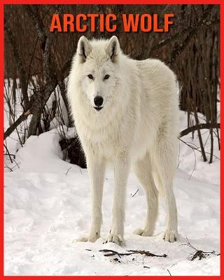 Book cover for Arctic wolf