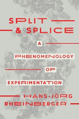Book cover for Split and Splice