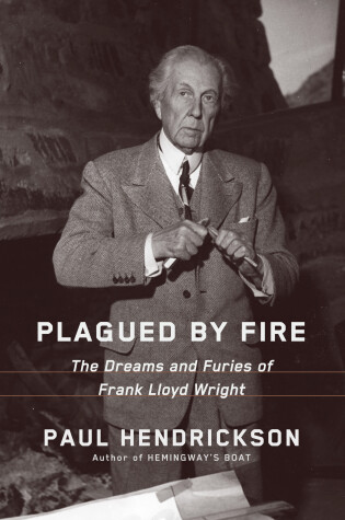 Cover of Plagued by Fire