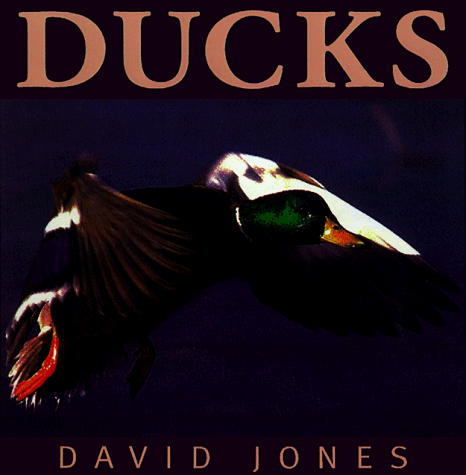 Book cover for Ducks