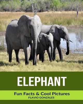 Book cover for Elephant