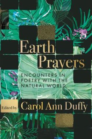 Cover of Earth Prayers