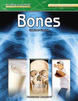 Book cover for Bones