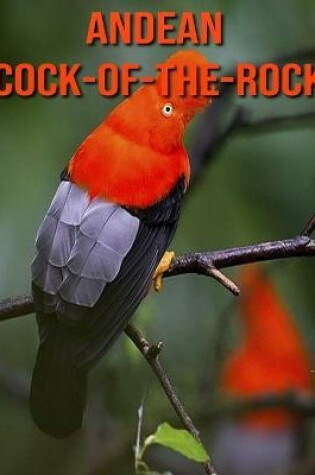 Cover of Andean Cock-of-The-Rock