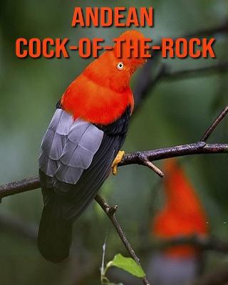 Book cover for Andean Cock-of-The-Rock