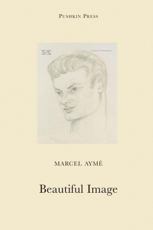 Cover of Beautiful Image