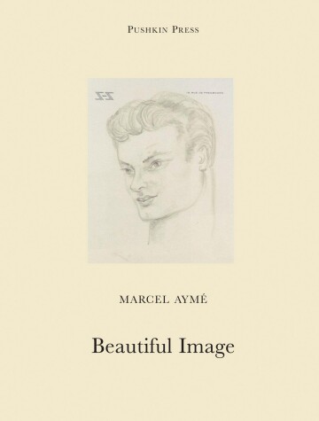 Cover of Beautiful Image