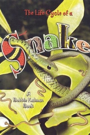 Cover of The Life Cycle of a Snake