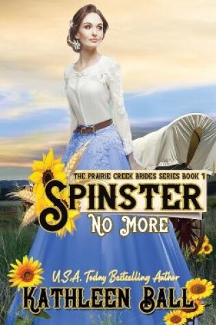 Cover of Spinster No More